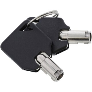 InLine® Notebook Sicherheitsschloss, mit Schlüssel, 4,4mm x 2m