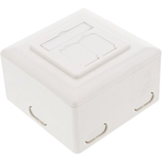 InLine Cat.6 Wall Outlet Box surface or flush mount 2x RJ45 white horizontal