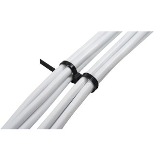 InLine® Kabelbinder mit Doppelkopf, Länge 300mm, Breite 4,8mm, schwarz, 100 Stück