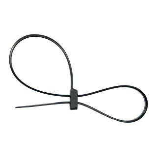 InLine Kabelbinder mit Doppelkopf, Lnge 300mm, Breite 4,8mm, schwarz, 100 Stck