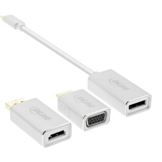 InLine® USB Display Konverter Set 6-in-1, USB Typ-C Stecker zu DisplayPort, HDMI, VGA (DP Alt Mode), 4K/60Hz, silber, 0.2m