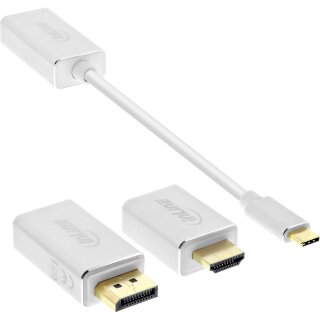 InLine® USB Display Konverter Set 6-in-1, USB Typ-C Stecker zu DisplayPort, HDMI, VGA (DP Alt Mode), 4K2K, silber, 0.2m