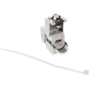 InLine® RJ45 Keystone Jack Snap-In module Cat.6a, with dust cover