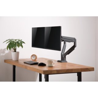 InLine Desktop mount with lifter and USB 3.0, movable, for two Displays up to 81cm (32) max. 9kg